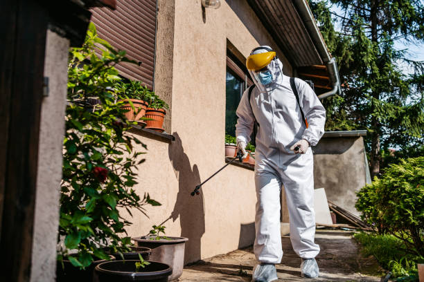 Best Residential Pest Control  in Kailua, HI