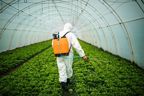 Best Affordable Pest Control Services  in Kailua, HI