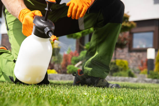 Best Pest Removal Services  in Kailua, HI