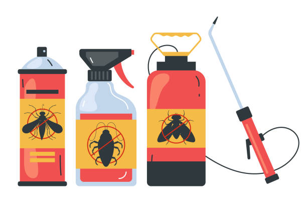 Best Affordable Pest Control Services  in Kailua, HI